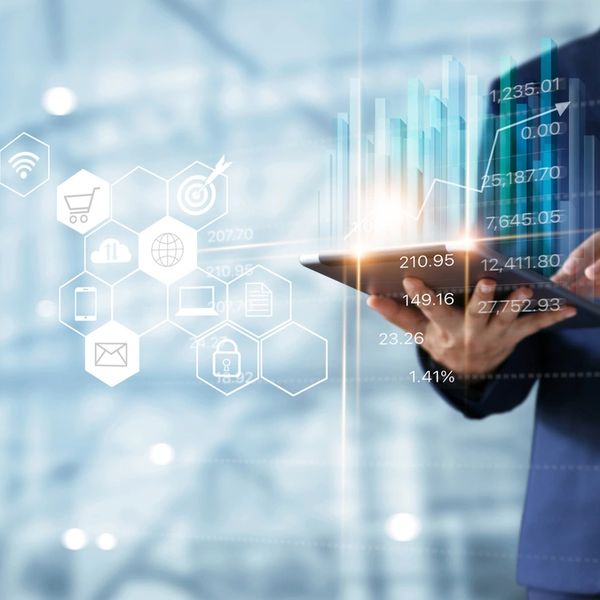 Experienced Consultants